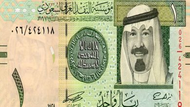 يلا خبر | سعر الريال السعودي اليوم : السبت 24 فبراير وتحليل أداء العملة السعودية بالبنوك المصرية