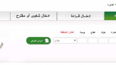 يلا خبر | الاستعلام عن فاتورة الغاز لشهر مارس 2018 وكيفية السداد مع حملة إقرأ عدادك وبلغ قراءتك – نجوم مصرية – أخبارك الان