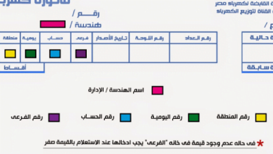 يلا خبر | الاستعلام عن فاتورة الكهرباء أبريل 2018 من خلال الموقع الرسمي للوزارة – أخبارك الان