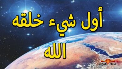 أول شيء خلقه الله علي وجه الأرض – ولماذا خلق الشجر قبل النور ؟ بداية الخلق