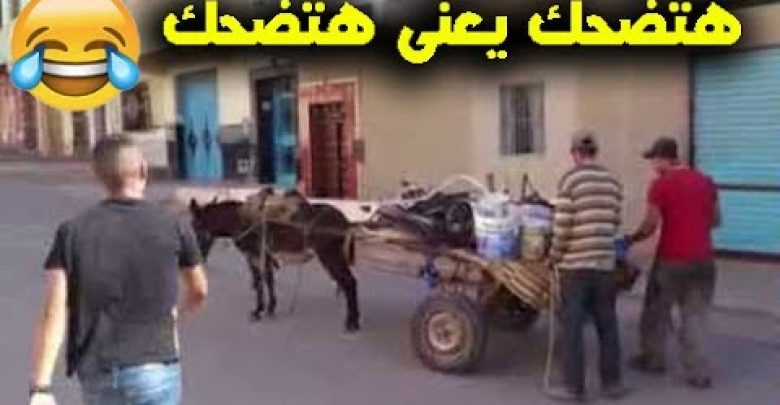 غلاسه الموسم الاخير 2018 كوميديا تمووت من الضحك ! مواقف محرجه تنسى الهم