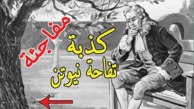 مفاجئة بالـ أدلة | قانون الجاذبية اكتشاف اسلامي قبل نيوتن بـ قرون – العلم لا يأتي بالصدفة