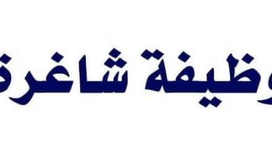 يلا خبر | وظائف شاغرة في البريد الآن تعرف على الوظائف الخالية المطلوبة