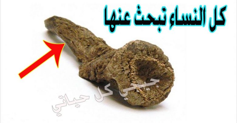 اسعدي زوجك كل ليلة بحبة واحدة من هذه ..ستبحثين عنها ..شاهدي ماذا يحدث؟؟