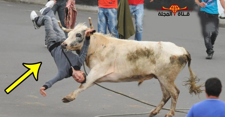 لحظات لو لم تسجلها الكاميرات لما كنت تصدقها ◄  شاهد ما فعل الثور بهذا الرجل