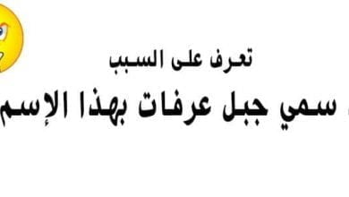 يلا خبر | لماذ سمي جبل عرفات بهذا الإسم؟ وما القصة وراء ذلك؟