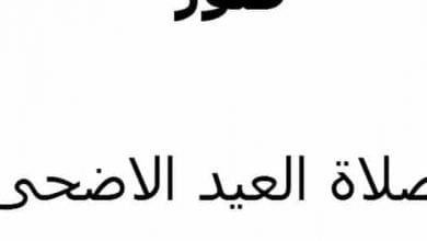 يلا خبر | صور صلاة العيد الكبير عيد الأضحى اليوم، أول أيام العيد الكبير تجتاح مواقع التواصل الاجتماعي بقوة