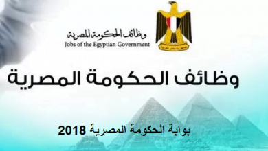 يلا خبر | برواتب تصل لـ 4 الآف جنيه.. الحكومة تعلن عن فرص عمل للشباب من سن 23 لـ 35 عام في عدة محافظات