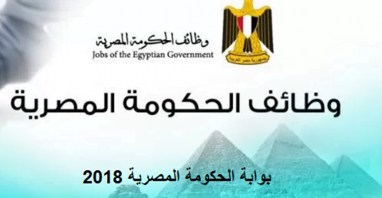 يلا خبر | برواتب تصل لـ 4 الآف جنيه.. الحكومة تعلن عن فرص عمل للشباب من سن 23 لـ 35 عام في عدة محافظات