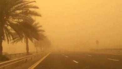 يلا خبر | الأرصاد الجوية تحذر من وجود عواصف رملية علي محافظة أسوان