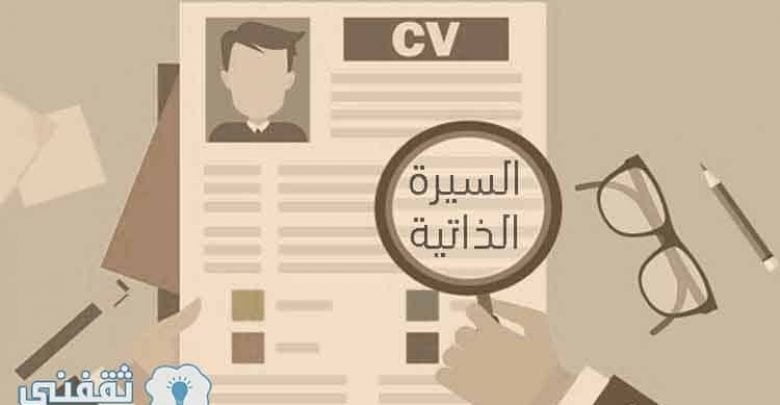 يلا خبر | كيفية كتابة CV احترافي : تعرف على خطوات طريقة عمل السيرة الذاتية للتوظيف