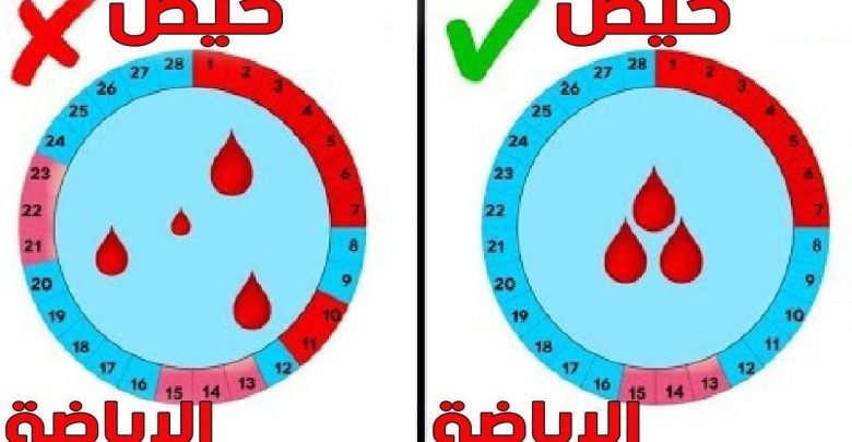 10 أسئلة عن الدورة الشهرية تجهل إجابتها معظم النساء