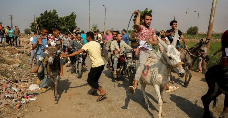 يلا خبر | تحت شعار «عيشها بسعادة».. ماراثون للحمير في البراجيل بالجيزة