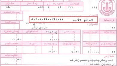 يلا خبر  | معرفة فاتورة الكهرباء إلكترونيا والدفع من خلال خدمة فوري – نجوم مصرية