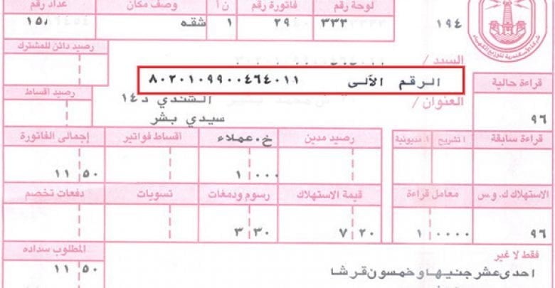 يلا خبر  | معرفة فاتورة الكهرباء إلكترونيا والدفع من خلال خدمة فوري – نجوم مصرية