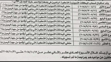 يلا خبر  | تظلمات تحديث البطاقات الخاطئة .. رابط دعم مصر الإلكتروني وزارة التموين