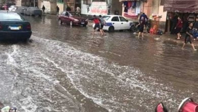 يلا خبر  | «4درجات فقط».. الأرصاد الجوية تُحذر الجميع من خطورة طقس الغد «فيديو»