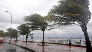 يلا خبر  | الأرصاد| تقلبات جوية حادة وسريعة بدايةً من الخميس ذروتها السبت وأمطار غزيرة ورعدية تصل لحد السيول ببعض المحافظات