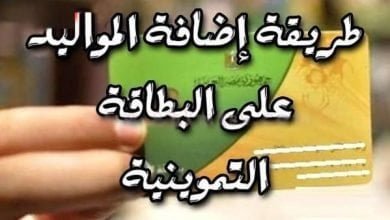 يلا خبر  | رابط موقع دعم مصر لإضافة المواليد الجدد على بطاقة التموين و خطوات تحديث البيانات