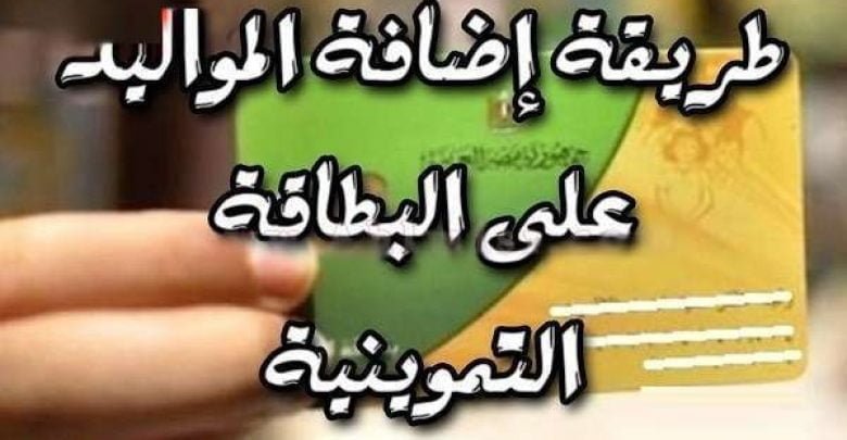 يلا خبر  | رابط موقع دعم مصر لإضافة المواليد الجدد على بطاقة التموين و خطوات تحديث البيانات