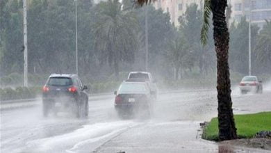 يلا خبر  | بالفيديو| الأرصاد تحذر من تقلبات جوية حادة وأمطار غزيرة ورعدية بدايةً من الثلاثاء وتناشد المواطنين بارتداء ملابس ثقيلة