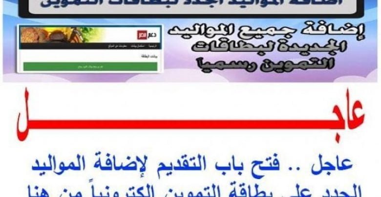 يلا خبر  | إعادة المحذوفين من البطاقات .. موقع دعم مصر – Nogoom Masrya