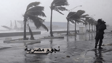 يلا خبر  | بالفيديو “الأرصاد”| أمطار غزيرة ورعدية ورياح وأماكن تساقطها وأول حالة وفاة بالإسكندرية منذ قليل بسبب الرياح الشديدة