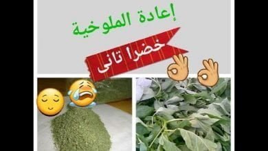 تحويل الملوخيه الناشفه إلى  خضرا تانى // مش هتصدقى //روووووعه