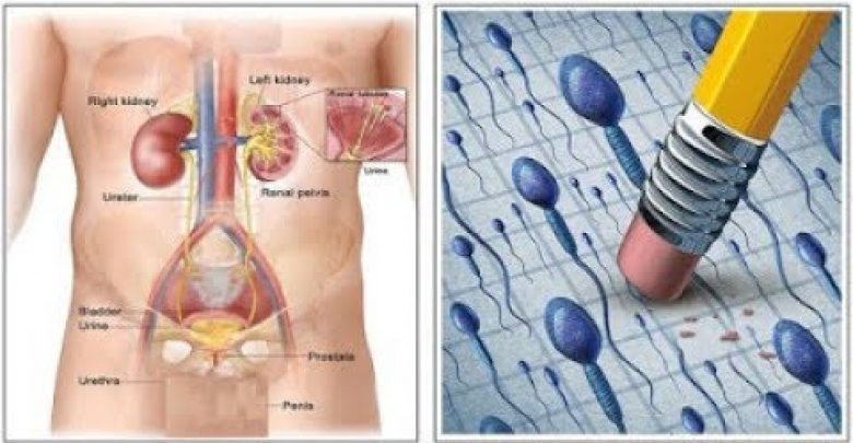 6 علامات تشير إلى وجود عقم لدى الرجل يجب أن تعرفها في وقت مبكر