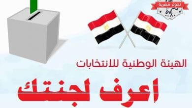 يلا خبر  | استعلم عن اللجنة الانتخابية لـ استفتاء دستور مصر 2019 عبر الهيئة الوطنية للانتخابات