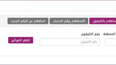 يلا خبر  | فاتورة التليفون المنزلي أبريل 2019 الربع سنوية من المصرية للاتصالات وطرق الدفع .. billing.te.eg