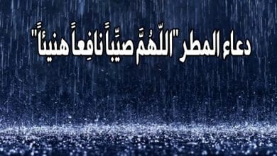 يلا خبر  | دعاء المطر “اللّهُمَّ صيِّباً نافِعاً هنيئاً” – نجوم مصرية