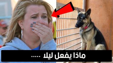 في كل ليلة ينام اصحابه " ولكن ما يفعله الكلب يقلق الجميع " …