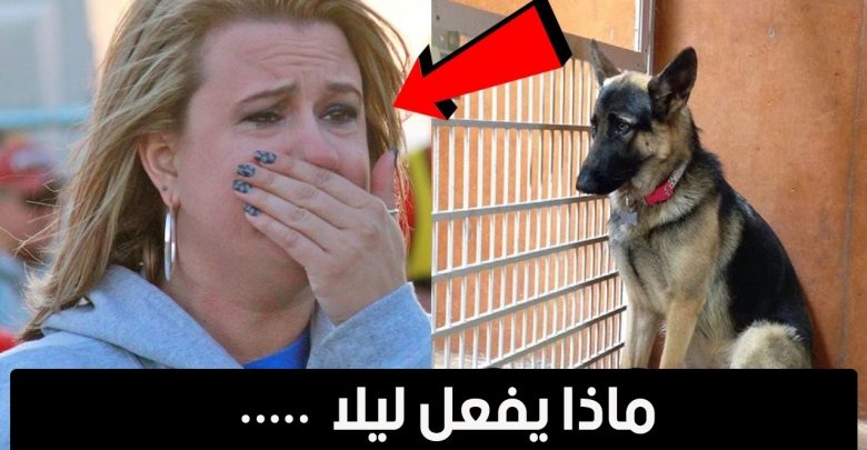 في كل ليلة ينام اصحابه " ولكن ما يفعله الكلب يقلق الجميع " …