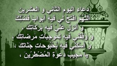 يلا خبر  | دعاء الثاني والعشرين من رمضان تعرف علي ثواب دعاء اليوم الثاني و العشرون من شهر رمضان .. بالفيديو