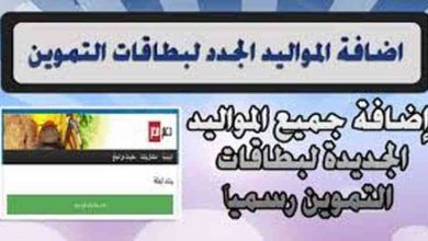 يلا خبر  | تسجيل المواليد في بطاقات التموين عن طريق النت – نجوم مصرية