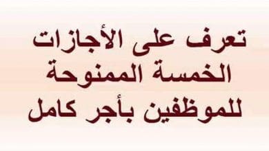 يلا خبر  | الأجازات بأجر كامل للموظفين في قانون الخدمة المدنية الجديد – نجوم مصرية