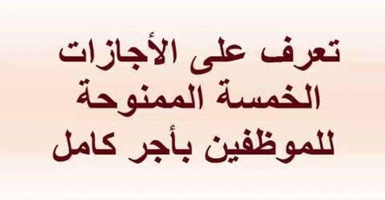 يلا خبر  | الأجازات بأجر كامل للموظفين في قانون الخدمة المدنية الجديد – نجوم مصرية