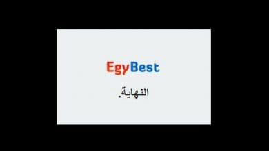 يلا خبر  | إيجي بست EGYBEST يغلق عمله بالكامل ومتابعوه يثيرون ضجة – نجوم مصرية