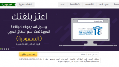 يلا خبر  | استعلام عن نطاق – المركز السعودي لمعلومات الشبكة .. ابحث عن النطاق أو Whois