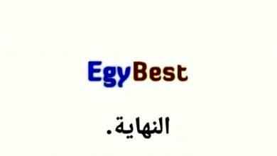 يلا خبر  | حجب موقع إيجي بست «EgyBest» يشعل مواقع التواصل الاجتماعي – نجوم مصرية