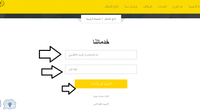 يلا خبر  | الاستعلام عن نتائج تحاليل معمل البرج