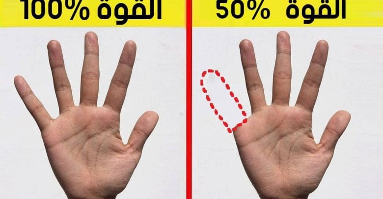 يلا خبر  | 7 معلومات عن جسمك لم تكن تعلمها من قبل