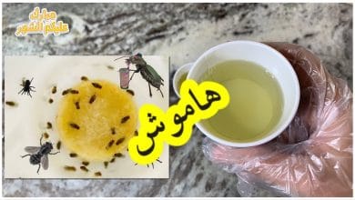 يلا خبر  | حيلة سهلة لطرد الهاموش من منزلك في رمضان