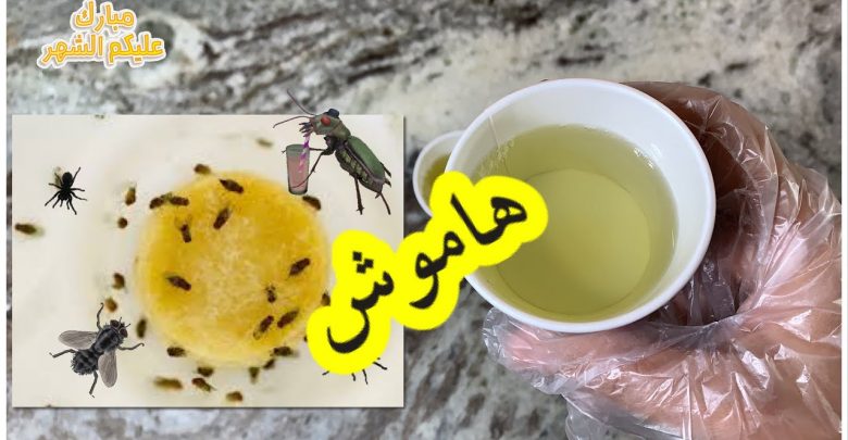 يلا خبر  | حيلة سهلة لطرد الهاموش من منزلك في رمضان