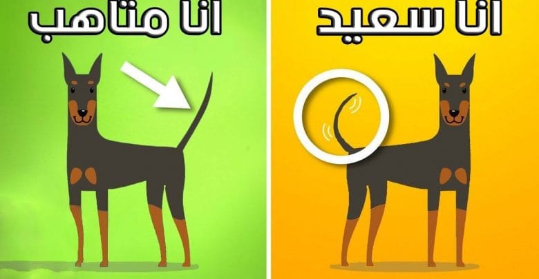 يلا خبر  | تعرف على 10 أخبار ومعلومات طريفة لم تكن تعلمها من قبل