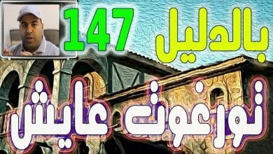 يلا خبر  | ارطغرل 147👈 تحليل –  مصير ارطغرل 👈  تورغوت ألب عايش وبالدليل  💪🏼