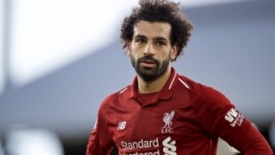 يلا خبر  | بالفيديو| ببغاء يغني لمحمد صلاح