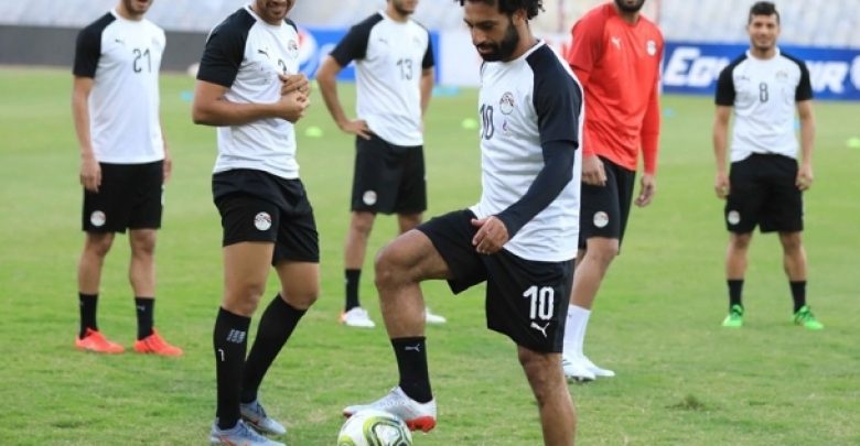 يلا خبر  | الوطن | مصر | مصر وغينيا والأرجنيتين.. الأكثر بحثاً على “جوجل مصر”