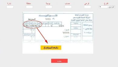 يلا خبر  | خطوات الاستعلام عن فواتير شهر يوليو 2019 الآن من خلال الموقع الرسمي وآليات دفع جديدة من خلال ماكينة صرف الدعم (التموين) – نجوم مصرية